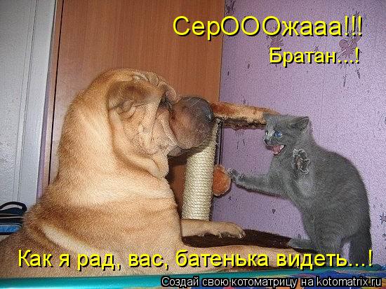 СерОООжааа!!! Братан...! Как я рад, вас, батенька видеть...!... Котоматрица: СерОООжааа!!! Братан...! Как я рад, вас, батенька видеть...!