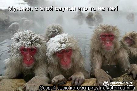 Мужики, с этой сауной что то не так!... Котоматрица: Мужики, с этой сауной что то не так!