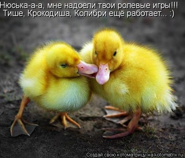 Котоматрица: Нюська-а-а, мне надоели твои ролевые игры!!! Тише, Крокодиша, Колибри ещё работает... :)