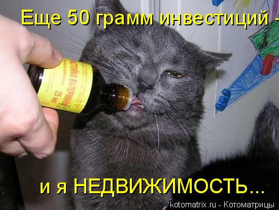 Еще 50 грамм инвестиций - и я НЕДВИЖИМОСТЬ...... Котоматрица: Еще 50 грамм инвестиций - и я НЕДВИЖИМОСТЬ...