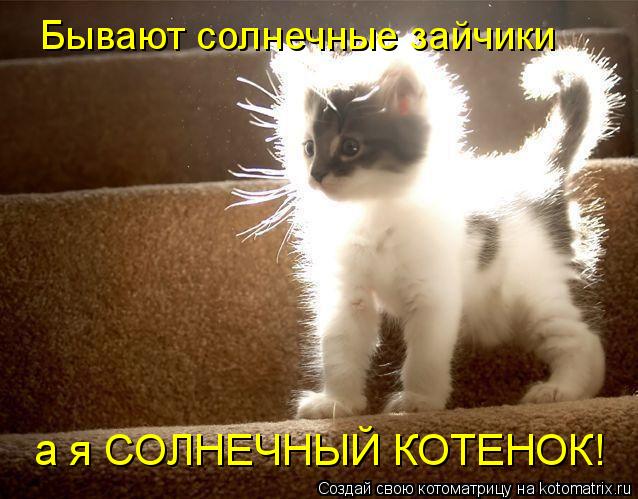 Бывают солнечные зайчики а я СОЛНЕЧНЫЙ КОТЕНОК!... Котоматрица: Бывают солнечные зайчики а я СОЛНЕЧНЫЙ КОТЕНОК!