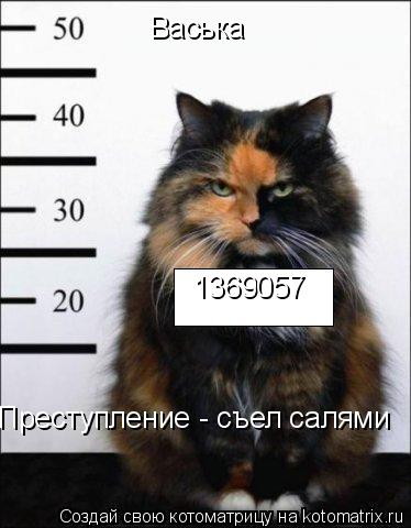 Васька 1369057 Преступление - съел салями... Котоматрица: Васька 1369057 Преступление - съел салями