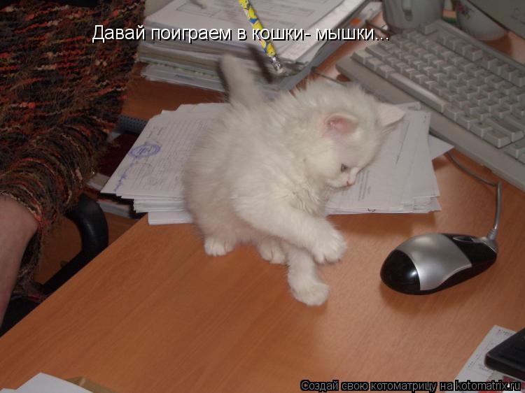 Котоматрица: Давай поиграем в кошки- мышки...