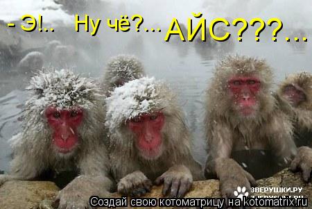 АЙС???... - Э!.. Ну чё?...... Котоматрица: АЙС???... - Э!.. Ну чё?...