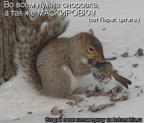 Во всём нужна сноровка, а так же МАСКИРОВКА! Во всём нужна сноровка, а так же МАСКИРОВКА! (кот Пират... Котоматрица: Во всём нужна сноровка, а так же МАСКИРОВКА! Во всём нужна сноровка, а так же МАСКИРОВКА! (кот Пират, цитата.)