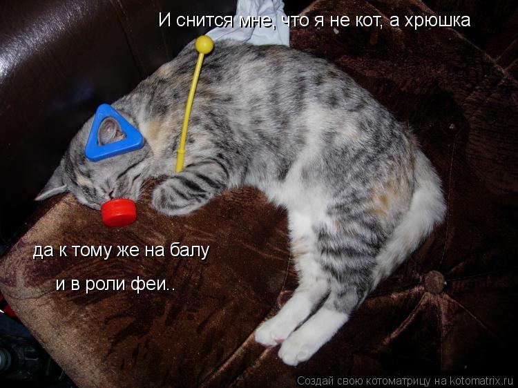 И снится мне, что я не кот, а хрюшка да к тому же на балу и в роли феи..... Котоматрица: И снится мне, что я не кот, а хрюшка да к тому же на балу и в роли феи..