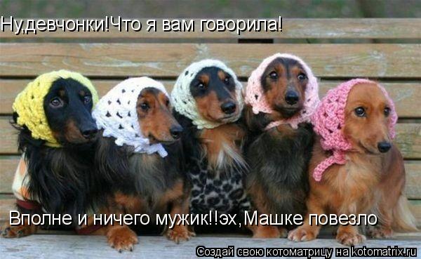 Котоматрица: Ну,девчонки!Что я вам говорила! Вполне и ничего мужик!!эх,Машке повезло