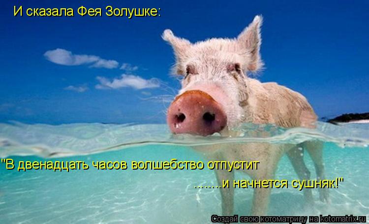 И сказала Фея Золушке: "В двенадцать часов волшебство отпустит ........и начнется сушняк!"... Котоматрица: И сказала Фея Золушке: "В двенадцать часов волшебство отпустит ........и начнется сушняк!"