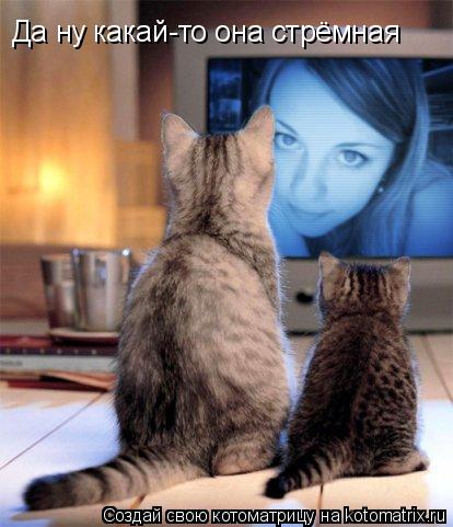 Котоматрица: Да ну какай-то она стрёмная