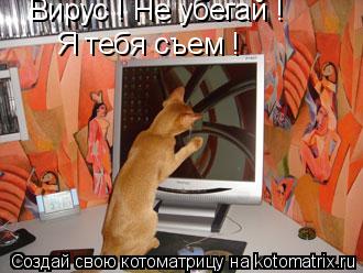 Вирус ! Не убегай ! Я тебя съем !... Котоматрица: Вирус ! Не убегай ! Я тебя съем !