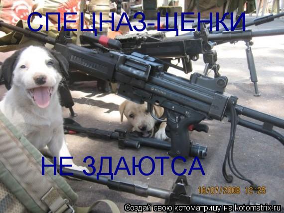 СПЕЦНАЗ-ЩЕНКИ НЕ ЗДАЮТСА... Котоматрица: СПЕЦНАЗ-ЩЕНКИ НЕ ЗДАЮТСА
