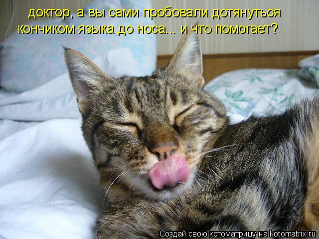 доктор, а вы сами пробовали дотянуться кончиком языка до носа... и что помогает?... Котоматрица: доктор, а вы сами пробовали дотянуться кончиком языка до носа... и что помогает?