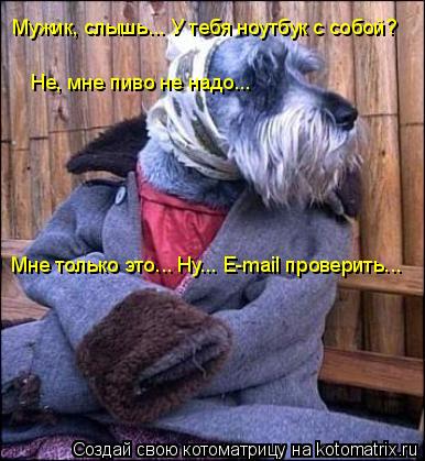 Мужик, слышь... У тебя ноутбук с собой? Не, мне пиво не надо... Мне только это... Ну... E-mail провер... Котоматрица: Мужик, слышь... У тебя ноутбук с собой? Не, мне пиво не надо... Мне только это... Ну... E-mail проверить...