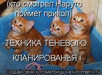 (кто смотрел Наруто поймёт прикол) ТЕХНИКА ТЕНЕВОГО КЛАНИРОВАНЬЯ !... Котоматрица: (кто смотрел Наруто поймёт прикол) ТЕХНИКА ТЕНЕВОГО КЛАНИРОВАНЬЯ !