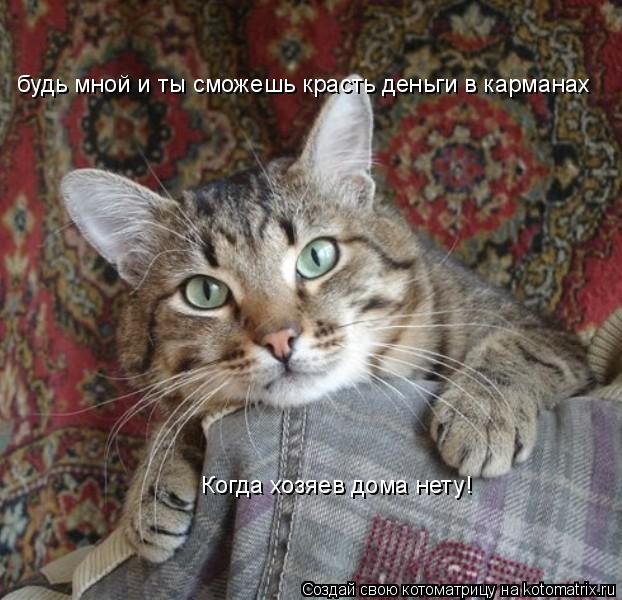 будь мной и ты сможешь красть деньги в карманах Когда хозяев дома нету!... Котоматрица: будь мной и ты сможешь красть деньги в карманах Когда хозяев дома нету!