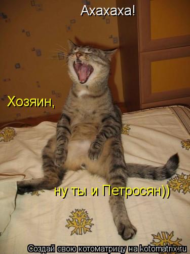 Ахахаха! Хозяин, ну ты и Петросян))... Котоматрица: Ахахаха! Хозяин, ну ты и Петросян))