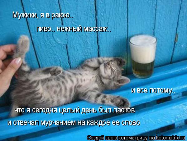 Мужики, я в раюю.. пиво.. нежный массаж.. и все потому.. что я сегодня целый день был ласков и отвеча... Котоматрица: Мужики, я в раюю.. пиво.. нежный массаж.. и все потому.. что я сегодня целый день был ласков и отвечал мурчанием на каждое ее слово