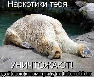 Наркотики тебя УНИЧТОЖАЮТ!... Котоматрица: Наркотики тебя УНИЧТОЖАЮТ!