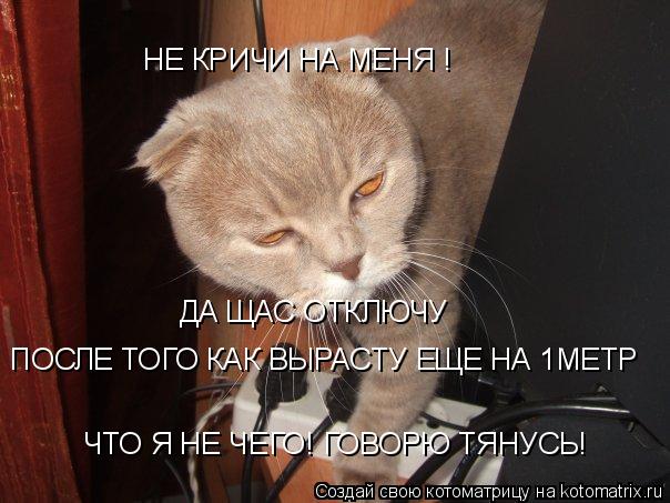 НЕ КРИЧИ НА МЕНЯ ! ДА ЩАС ОТКЛЮЧУ ПОСЛЕ ТОГО КАК ВЫРАСТУ ЕЩЕ НА 1МЕТР ЧТО Я НЕ ЧЕГО! ГОВОРЮ ТЯНУСЬ!... Котоматрица: НЕ КРИЧИ НА МЕНЯ ! ДА ЩАС ОТКЛЮЧУ ПОСЛЕ ТОГО КАК ВЫРАСТУ ЕЩЕ НА 1МЕТР ЧТО Я НЕ ЧЕГО! ГОВОРЮ ТЯНУСЬ!