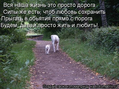 Вся наша жизнь это просто дорога Силы же есть, чтоб любовь сохранить Прыгать в обьятия прямо с порога... Котоматрица: Вся наша жизнь это просто дорога Силы же есть, чтоб любовь сохранить Прыгать в обьятия прямо с порога Будем, давай просто жить и любить!