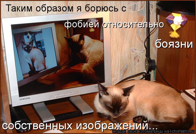 Котоматрица: Таким образом я борюсь с фобией относительно собственных изображений... боязни
