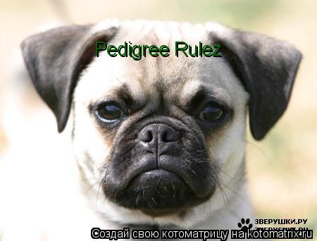 Pedigree Rulez... Котоматрица: Pedigree Rulez