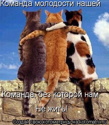 Команда молодости нашей Команда молодости нашей Команда, без которой нам Не жить!... Котоматрица: Команда молодости нашей Команда молодости нашей Команда, без которой нам Не жить!