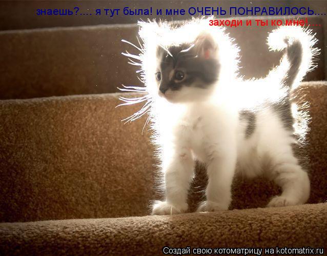 знаешь?.... я тут была! и мне ОЧЕНЬ ПОНРАВИЛОСЬ..... заходи и ты ко мне!....... Котоматрица: знаешь?.... я тут была! и мне ОЧЕНЬ ПОНРАВИЛОСЬ..... заходи и ты ко мне!....