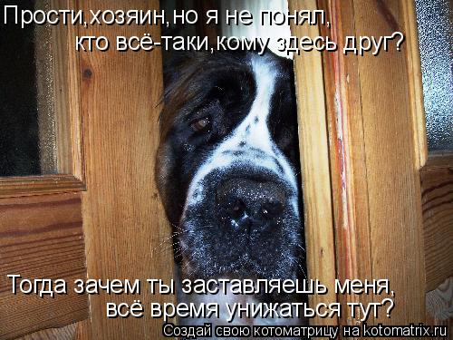 Прости,хозяин,но я не понял, кто всё-таки,кому здесь друг? Тогда зачем ты заставляешь меня, всё время... Котоматрица: Прости,хозяин,но я не понял, кто всё-таки,кому здесь друг? Тогда зачем ты заставляешь меня, всё время унижаться тут?