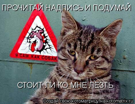 ПРОЧИТАЙ НАДПИСЬ И ПОДУМАЙ СТОИТ ЛИ КО МНЕ ЛЕЗТЬ... Котоматрица: ПРОЧИТАЙ НАДПИСЬ И ПОДУМАЙ СТОИТ ЛИ КО МНЕ ЛЕЗТЬ