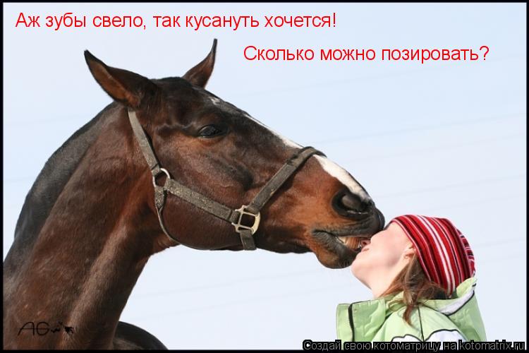 Аж зубы свело, так кусануть хочется! Сколько можно позировать?... Котоматрица: Аж зубы свело, так кусануть хочется! Сколько можно позировать?