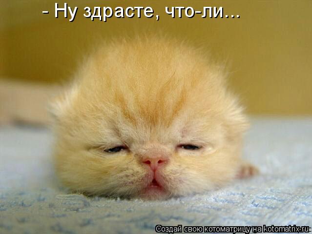 - Ну здрасте, что-ли...... Котоматрица: - Ну здрасте, что-ли...