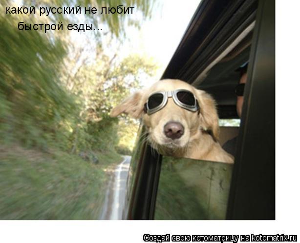какой русский не любит быстрой езды...... Котоматрица: какой русский не любит быстрой езды...