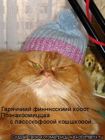 Гаряччиий финннсскиий кооот Познакоомиццаа с лассскофооой кошшкооой...... Котоматрица: Гаряччиий финннсскиий кооот Познакоомиццаа с лассскофооой кошшкооой...