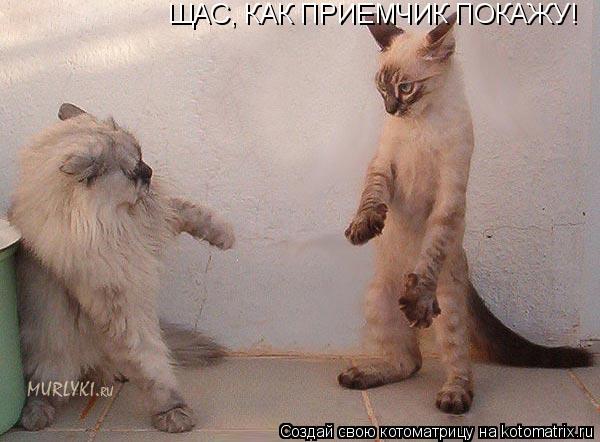 Котоматрица: ЩАС, КАК ПРИЕМЧИК ПОКАЖУ!