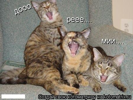 дооо... реее.... мии....... Котоматрица: дооо... реее.... мии....