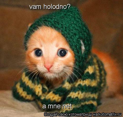 vam holodno? a mne net... Котоматрица: vam holodno? a mne net
