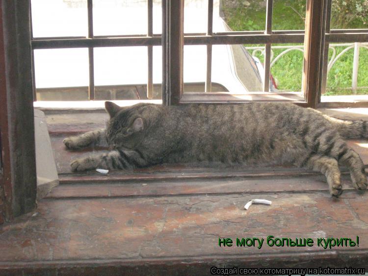 не могу больше курить!... Котоматрица: не могу больше курить!