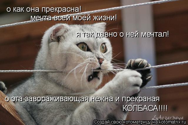 о как она прекрасна! мечта всей моей жизни! я так давно о ней мечтал! о эта завораживающая,нежна и пр... Котоматрица: о как она прекрасна! мечта всей моей жизни! я так давно о ней мечтал! о эта завораживающая,нежна и прекраная КОЛБАСА!!!!