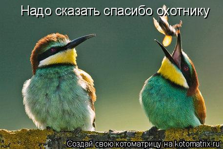 Надо сказать спасибо охотнику... Котоматрица: Надо сказать спасибо охотнику
