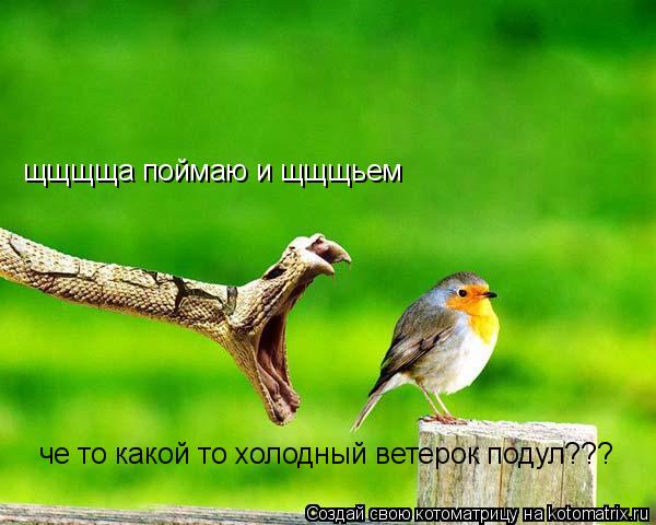 щщщща поймаю и щщщьем че то какой то холодный ветерок подул???... Котоматрица: щщщща поймаю и щщщьем че то какой то холодный ветерок подул???
