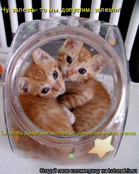 Котоматрица: Ну, залезть- то мы, допустим, залезли! Ты теперь думай, как вылезать будем, комбинатор хренов...