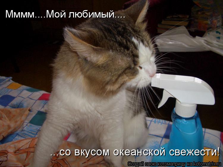 Мммм....Мой любимый.... ...со вкусом океанской свежести!... Котоматрица: Мммм....Мой любимый.... ...со вкусом океанской свежести!