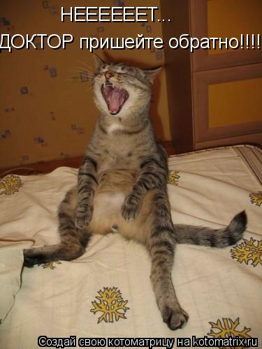 Котоматрица: ДОКТОР пришейте обратно!!!!! НЕЕЕЕЕЕТ...