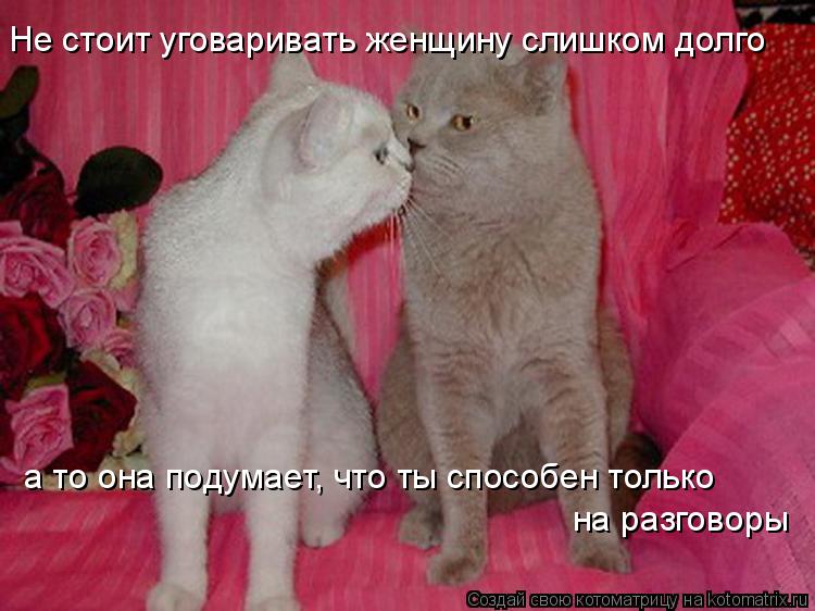 Не стоит уговаривать женщину слишком долго а то она подумает, что ты способен только на разговоры... Котоматрица: Не стоит уговаривать женщину слишком долго а то она подумает, что ты способен только на разговоры