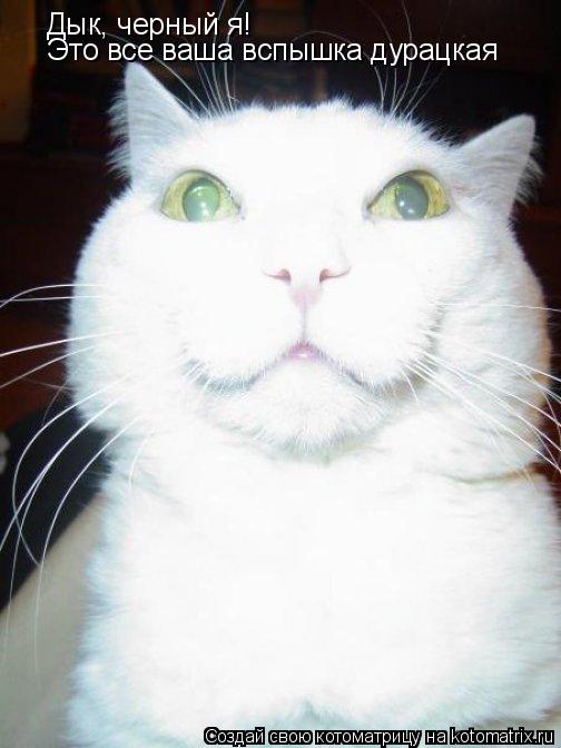 Дык, черный я! Это все ваша вспышка дурацкая... Котоматрица: Дык, черный я! Это все ваша вспышка дурацкая