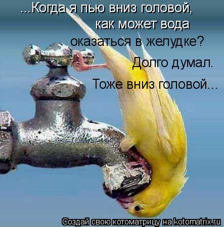 ...Когда я пью вниз головой, как может вода оказаться в желудке? Долго думал. Тоже вниз головой...... Котоматрица: ...Когда я пью вниз головой, как может вода оказаться в желудке? Долго думал. Тоже вниз головой...