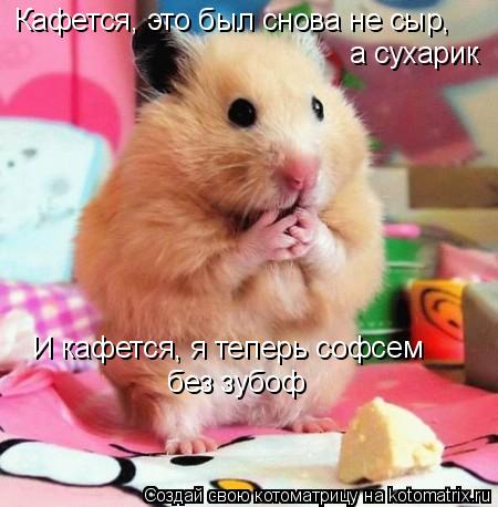 Кафется, это был снова не сыр, а сухарик И кафется, я теперь софсем без зубоф... Котоматрица: Кафется, это был снова не сыр, а сухарик И кафется, я теперь софсем без зубоф