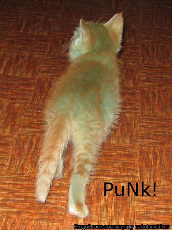 Котоматрица: PuNk!