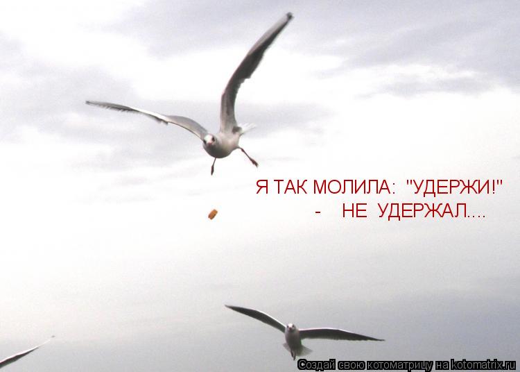Котоматрица: Я ТАК МОЛИЛА:  "УДЕРЖИ!"   -    НЕ  УДЕРЖАЛ....